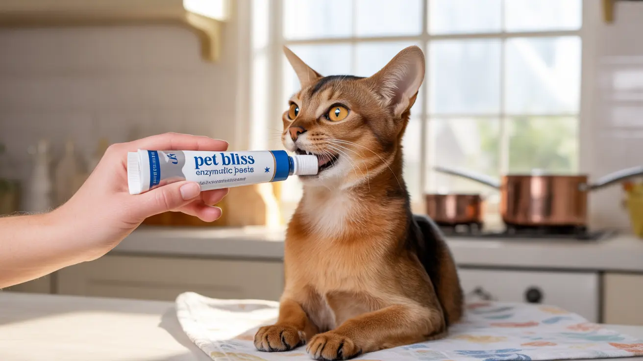 An Abyssinian cat biting a Pet Bliss enzymatic paste tube in a kitchen setting
