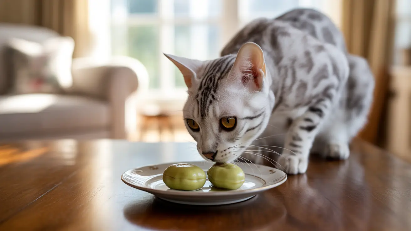 Un gato Bengalí observa con curiosidad dos aceitunas verdes colocadas en un plato.