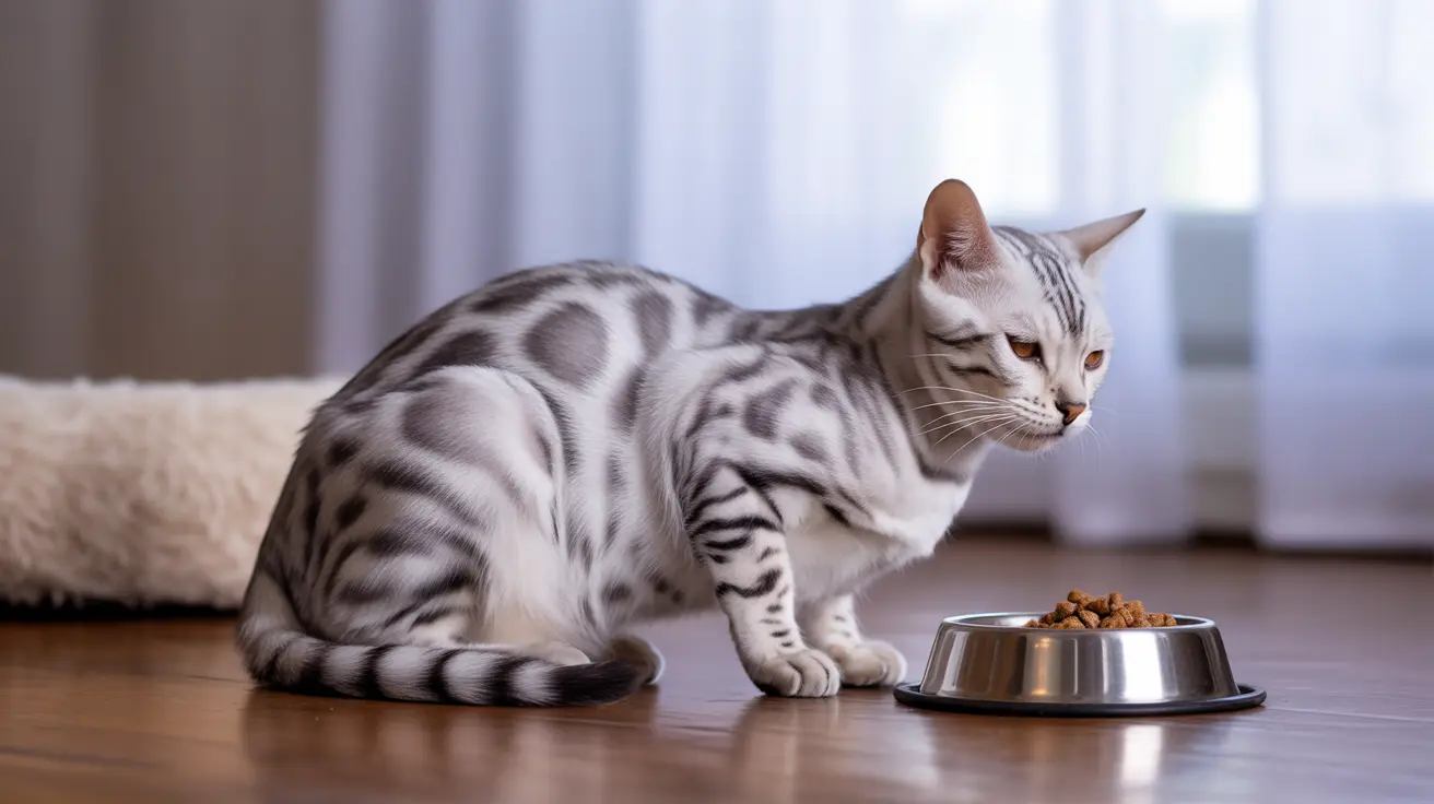A silver and white Bengal cat sitting near its food bowl in a bright, minimalist interior space