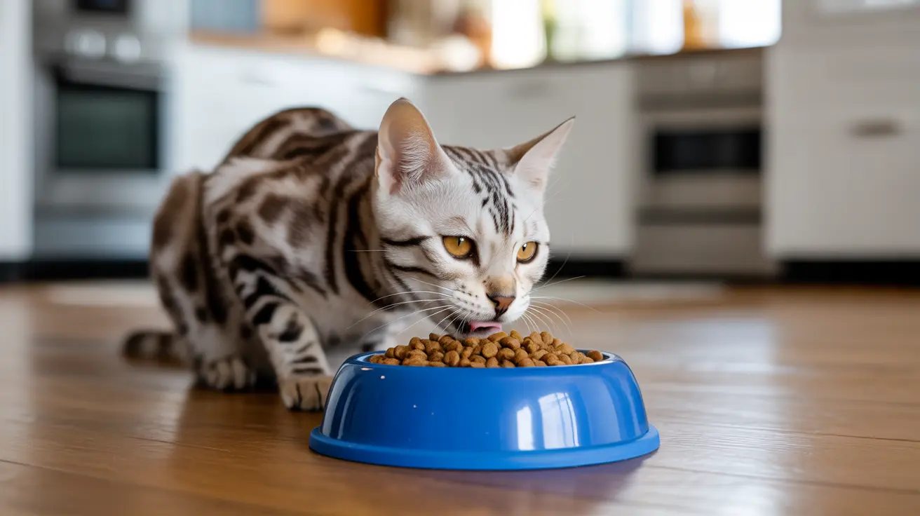 A Bengal cat eating from a blue food bowl in a modern kitchen