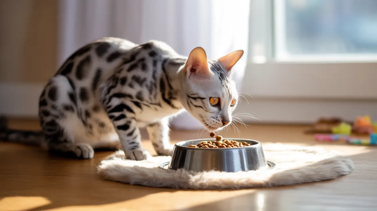 Bengal cat eating from a metal food bowl on a fur mat near a window