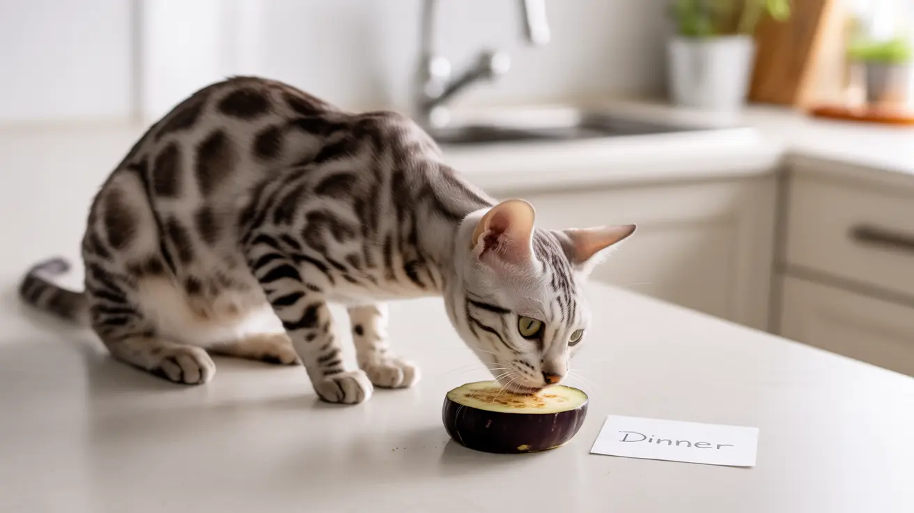 Can Cats Eat Eggplant? A Vet's Guide to This Toxic Food