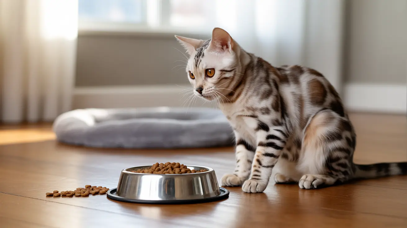 A Bengal cat sitting near its food bowl in a bright, minimalist indoor setting