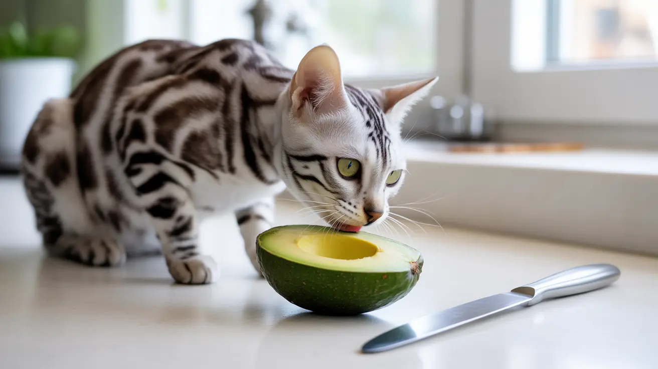 A Bengal cat curiously licking an avocado half on a kitchen counter