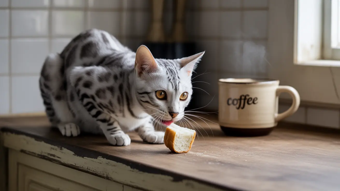 Silver and white Bengal cat licking a piece of bread on a wooden kitchen counter near a coffee mug