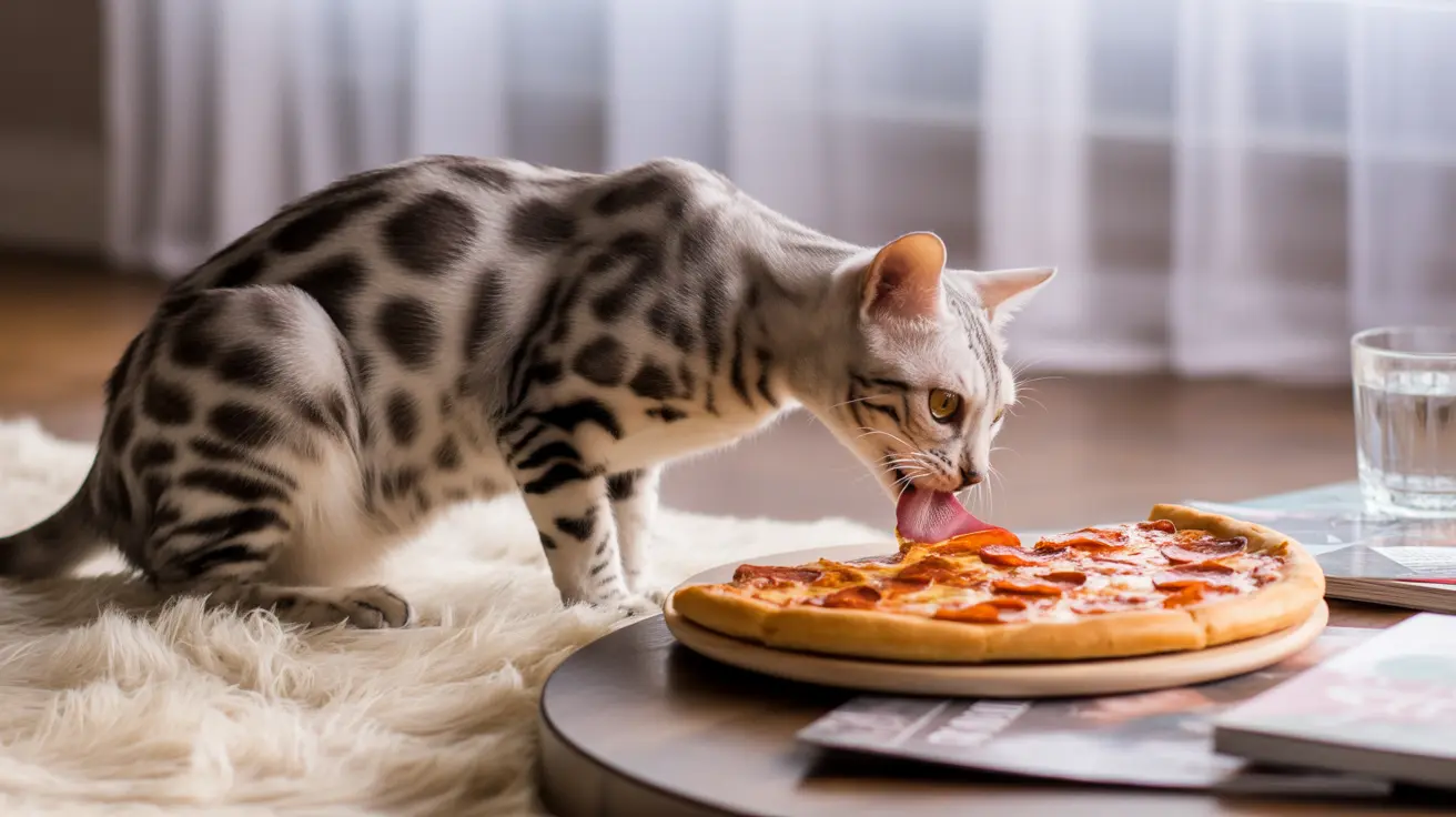Can Cats Eat Pizza? Why This Popular Human Food is Dangerous for Felines