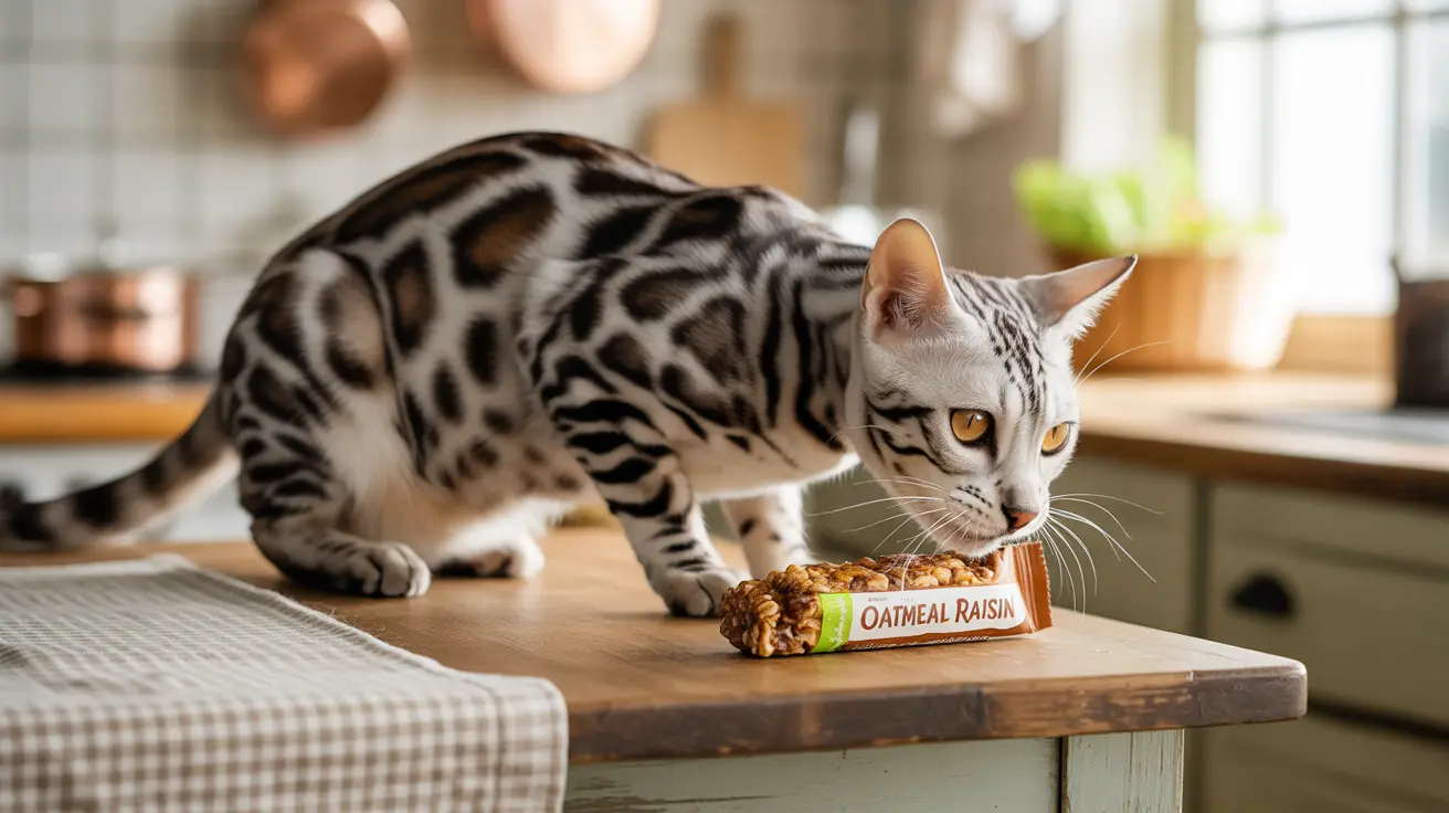 A silver and black Bengal cat exploring an oatmeal raisin granola bar in a kitchen setting