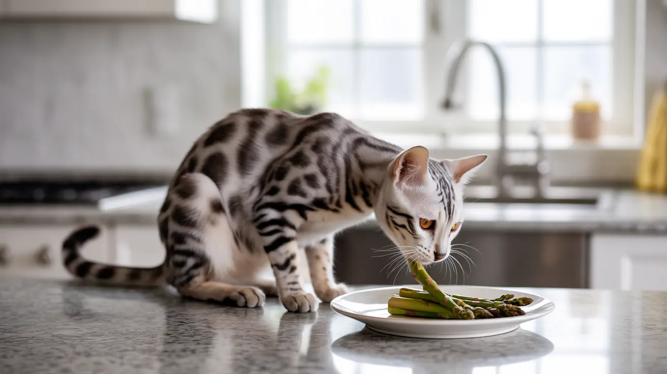 A Bengal cat investigating a plate of asparagus on a kitchen countertop