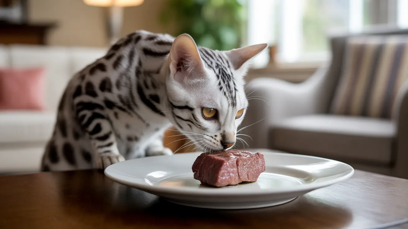 A silver and black spotted Bengal cat sniffing a raw piece of meat on a white plate