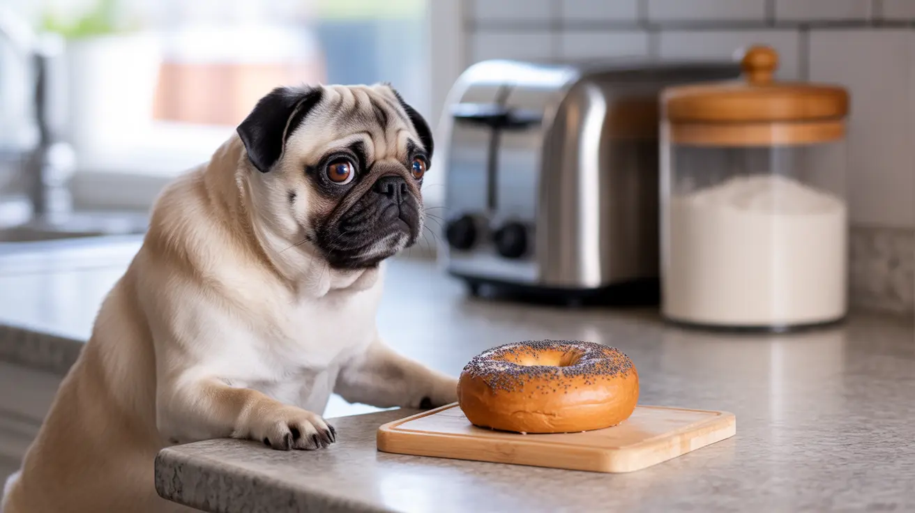 A cute pug sitting next to a poppy seed bagel on a wooden cutting board in a modern kitchen