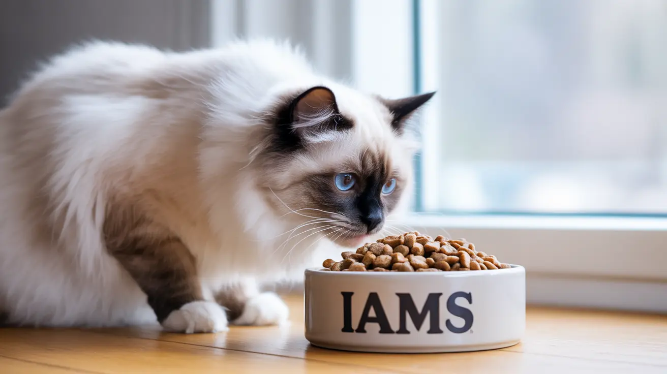 A fluffy Ragdoll cat sitting next to a bowl of IAMS cat food, looking contemplative