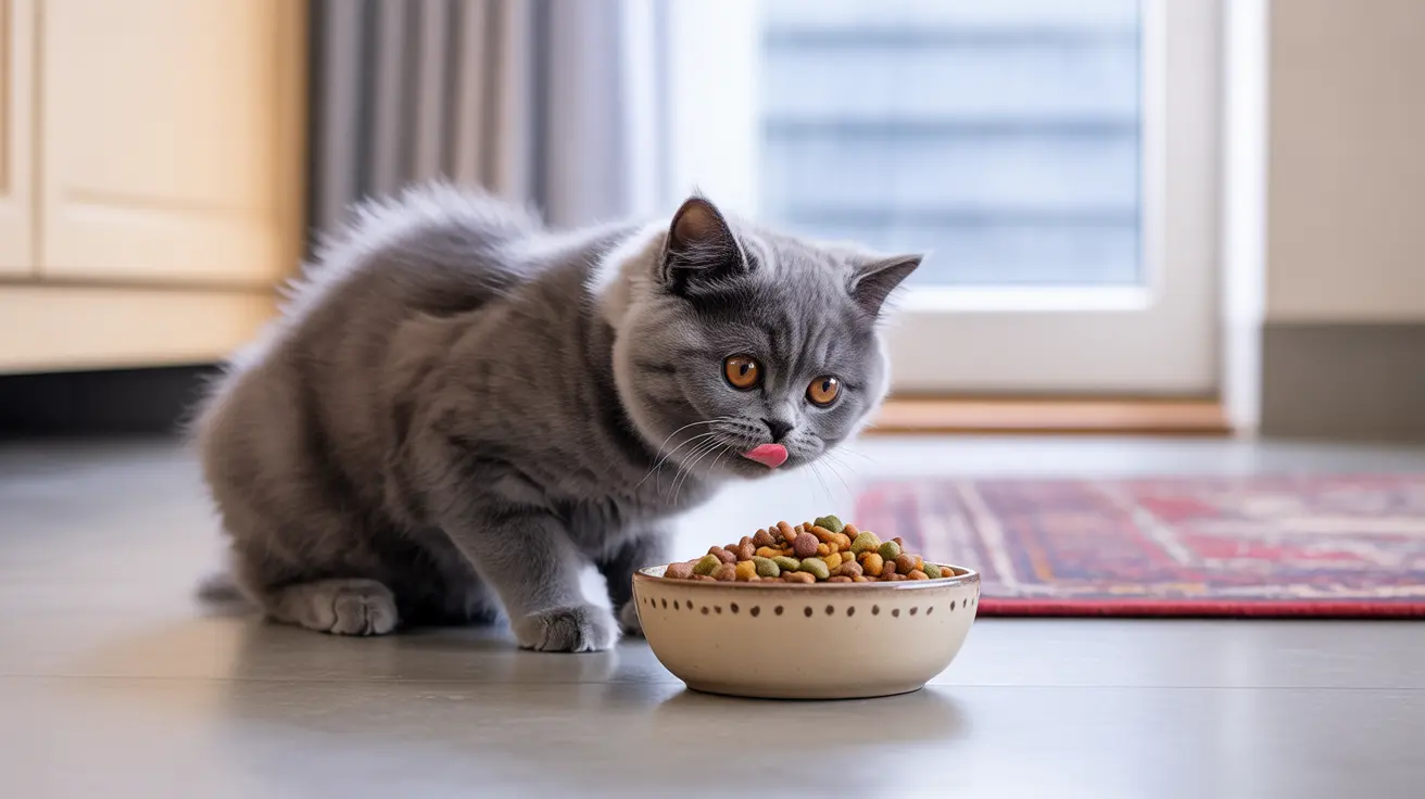 Can Adult Cats Eat Kitten Food? Understanding the Risks and Benefits