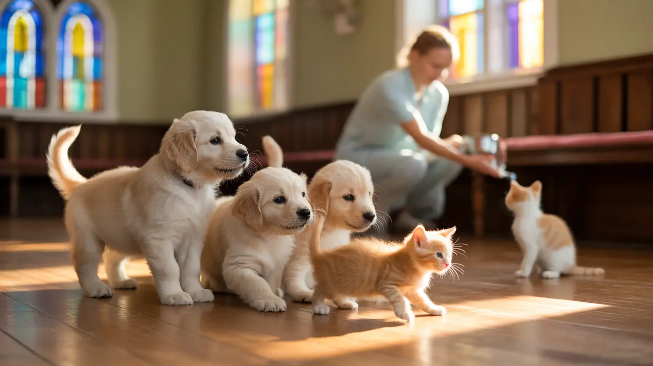Interior of former church converted into animal fostering center with designated areas for puppies and kittens