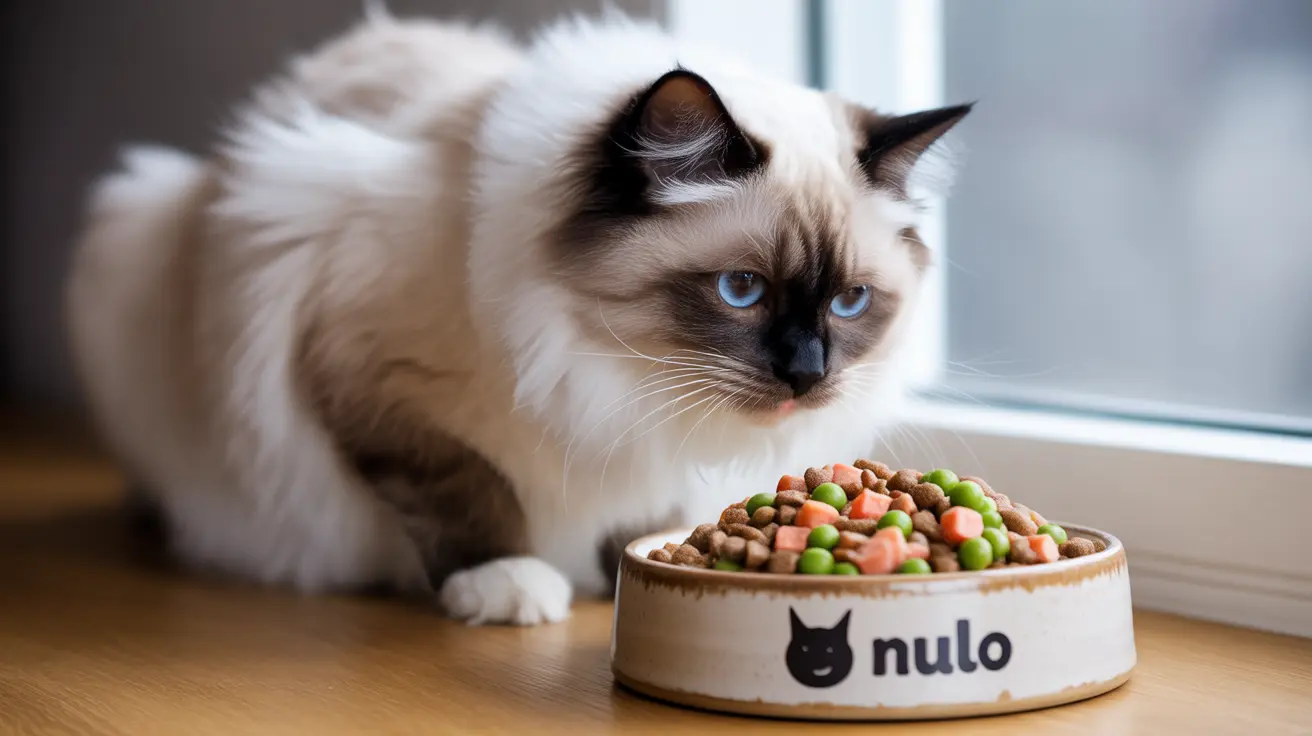 A Ragdoll cat with striking blue eyes sits next to a bowl of colorful cat food