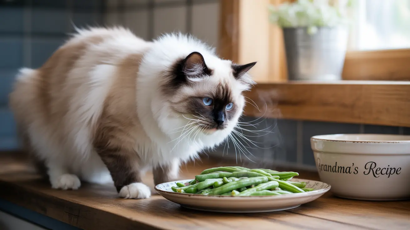 A fluffy Ragdoll cat sitting next to a plate of green beans on a wooden surface