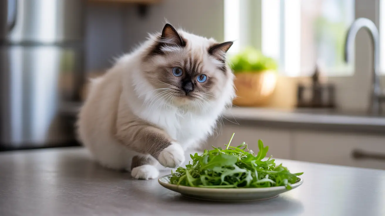 明るいキッチンの中で、緑のサラダの葉が乗ったお皿の隣に座っているふわふわのラグドール猫