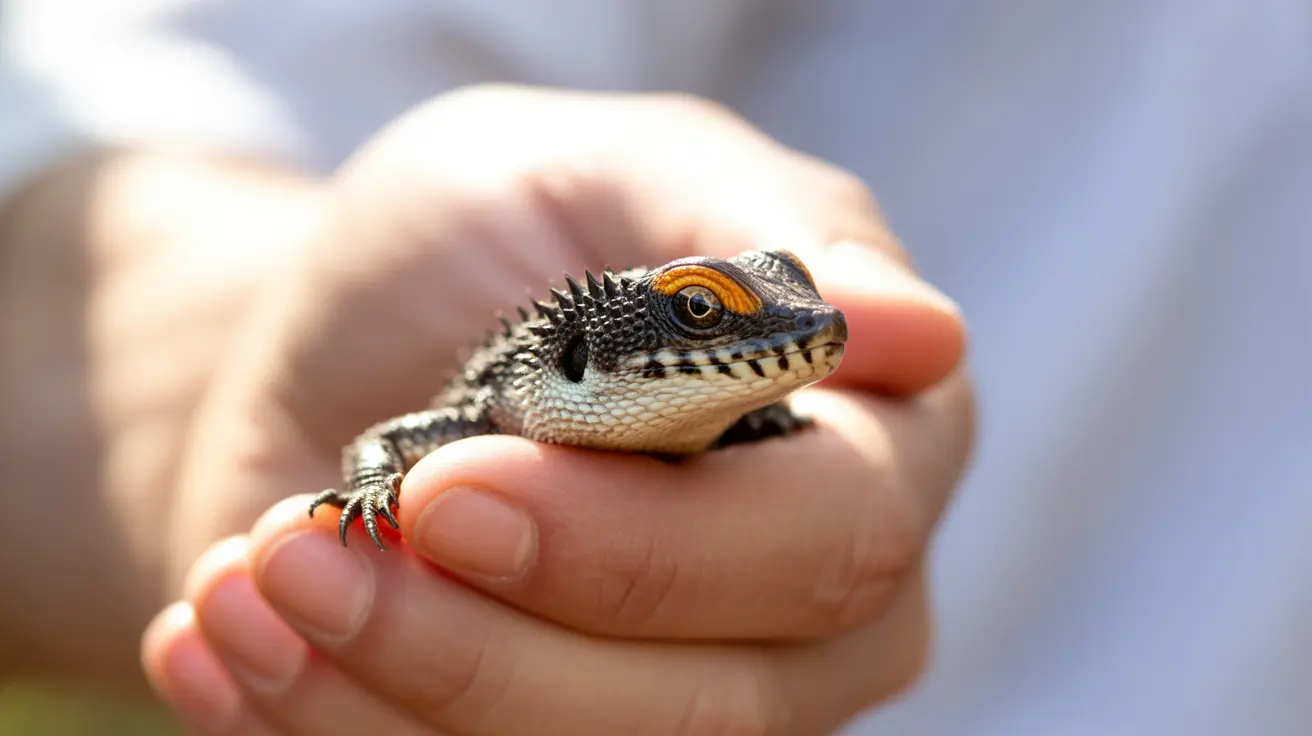 Pet Encounter Cumbria animal sanctuary affected by fireworks