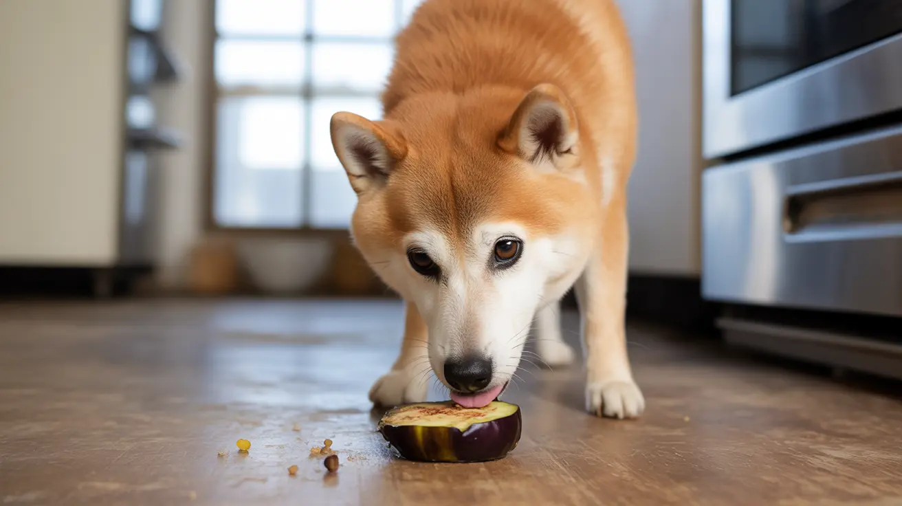 A Shiba Inu curiously licking and exploring a sliced avocado on a kitchen floor