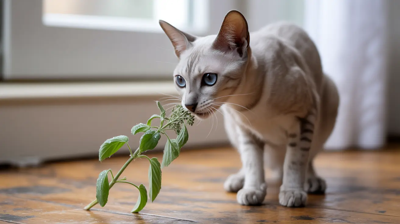 A Siamese cat with striking blue eyes sniffing a green plant near a window