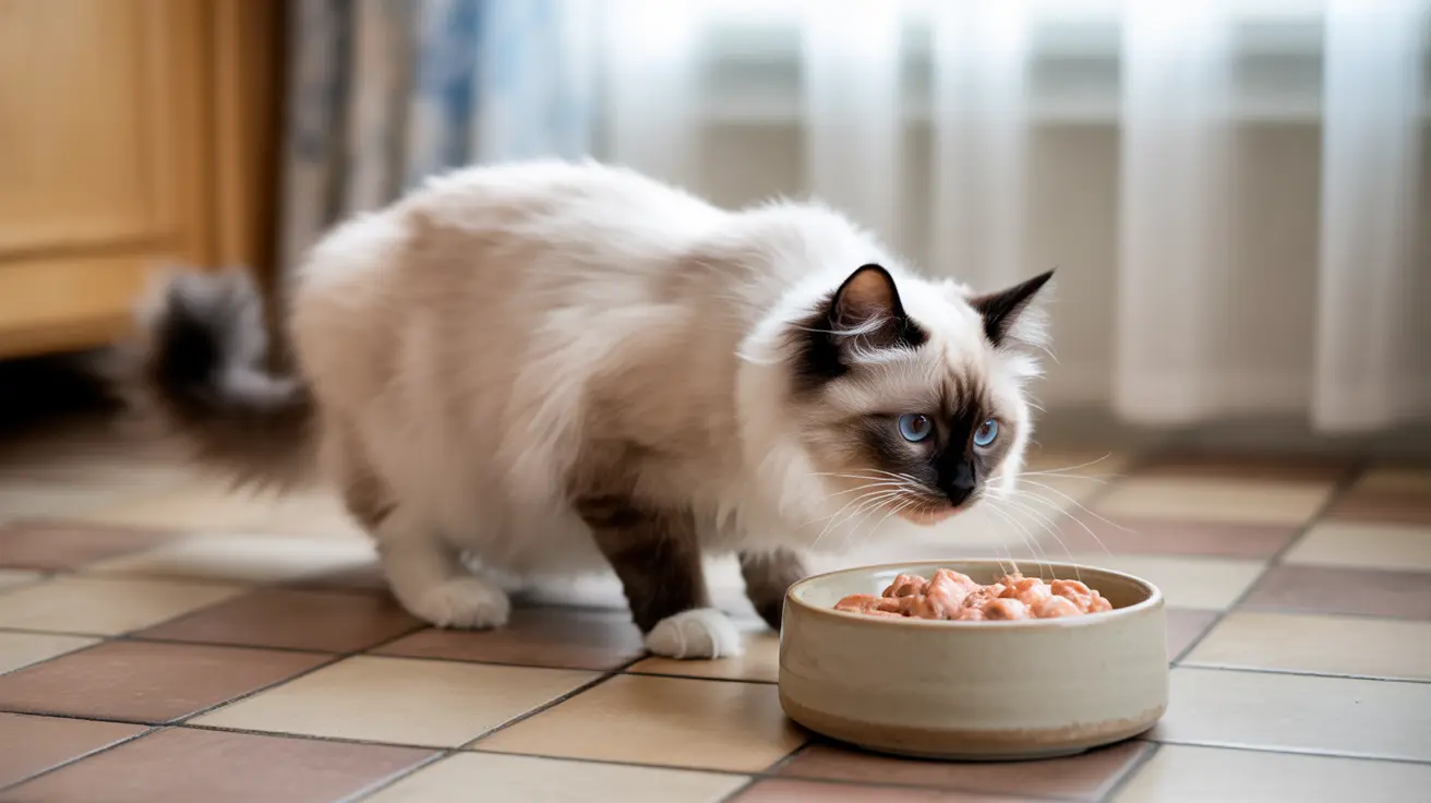 Siamese cat with blue eyes next to a bowl of wet food on a tiled kitchen floor