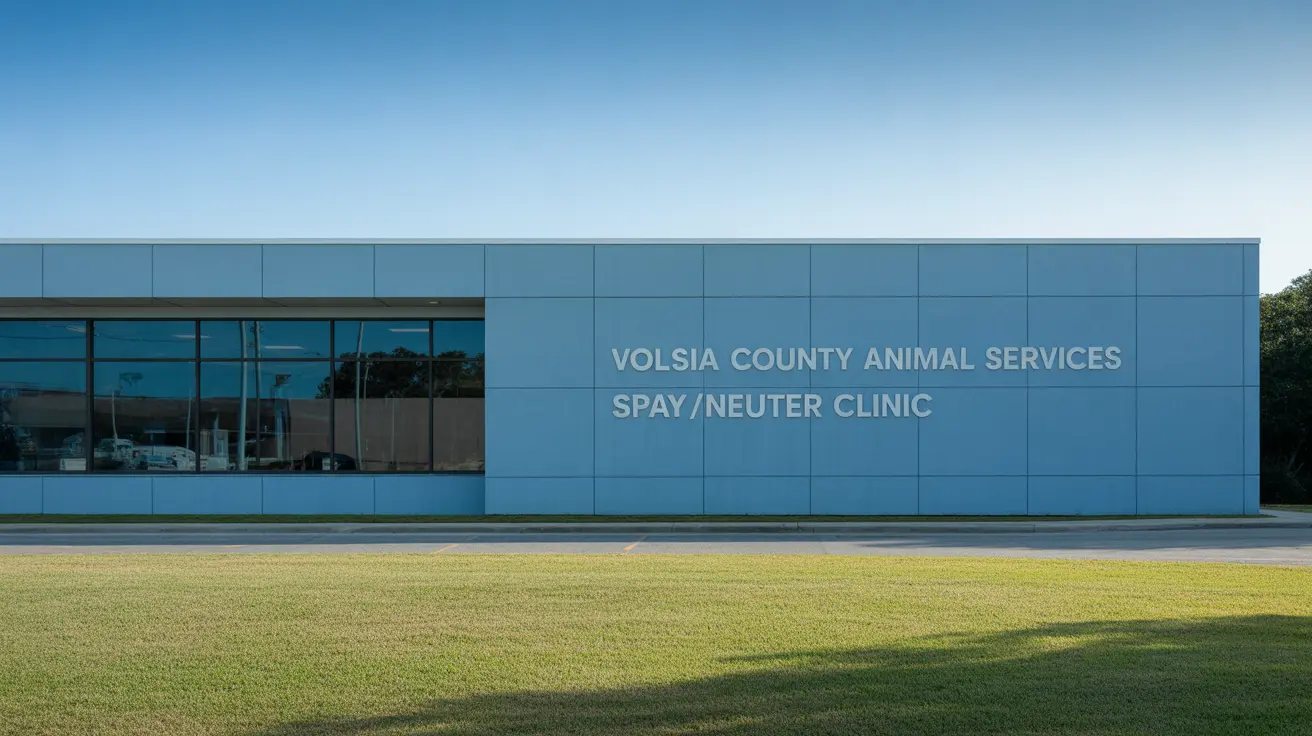 Two loose dogs running freely in a residential neighborhood in Ormond-by-the-Sea