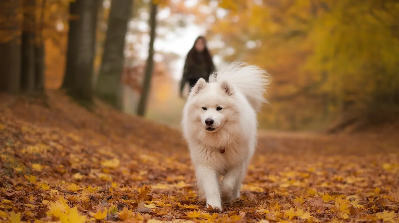 A worried pet owner holding a dog leash looking concerned about pet care costs